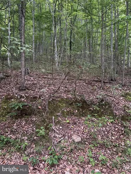 LOT 163 FOREST RIDGE TRAIL, Fort Valley, VA 22652