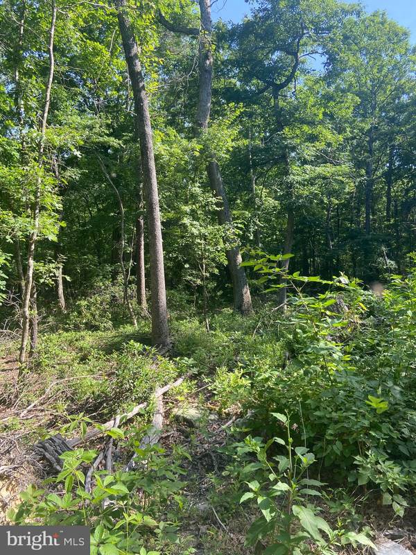 Fort Valley, VA 22652,LOT 13D BUCK RUN LANE LN