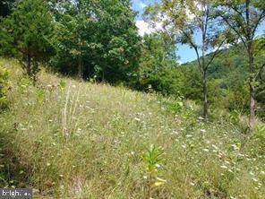 LOT 48 HIGHLAND SPRINGS RD., , Old Fields, WV 26845