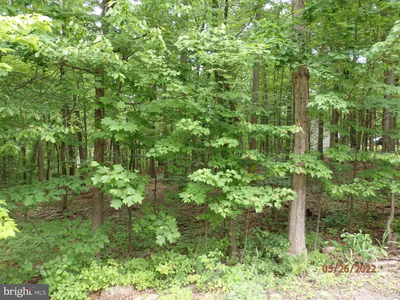 LOT 4 CROW, Winchester, VA 22602