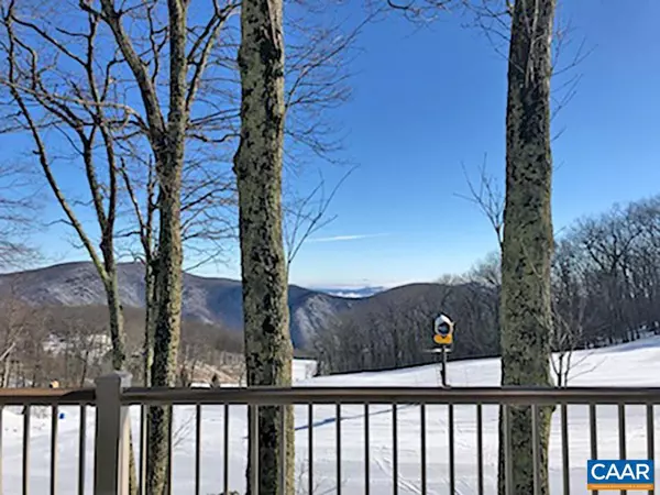 Wintergreen Resort, VA 22967,115 EAGLES CT CONDOS