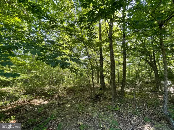 Paw Paw, WV 25434,LOT 8 WATERBERRY DR