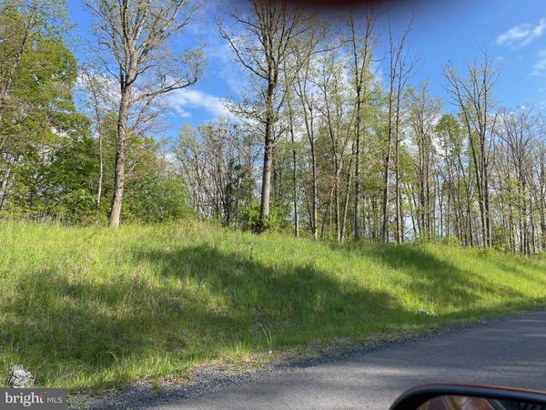 Winchester, VA 22602,0 LOT 2 COVEY LANE