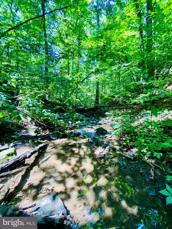 Winchester, VA 22602,169 IRIS LN