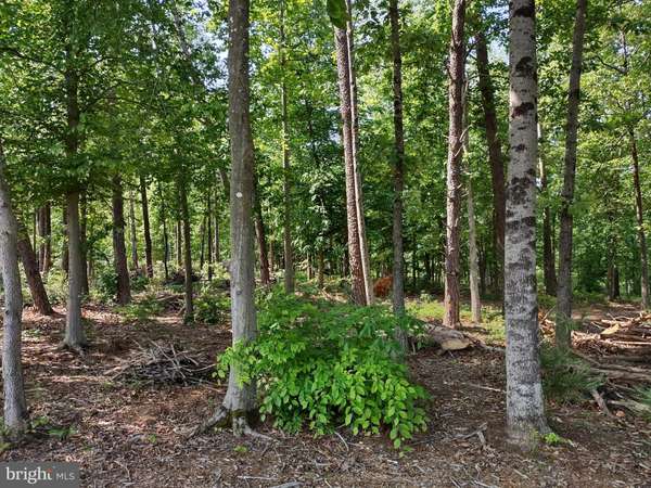 LOT 47 SUNSET LOOP, Mineral, VA 23117