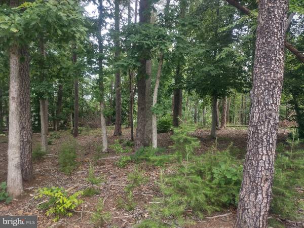 LOT 74 SUNSET LOOP, Mineral, VA 23117