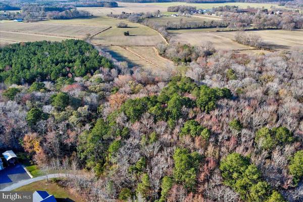 Selbyville, DE 19975,LOT 9 MURPHY CIR