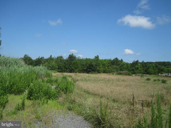 LOT 2 ISSAC'S ROAD, Ellendale, DE 19968