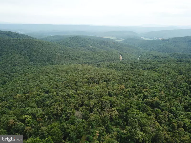 20.53 AC BLUFFS LOOKOUT, Romney, WV 26757