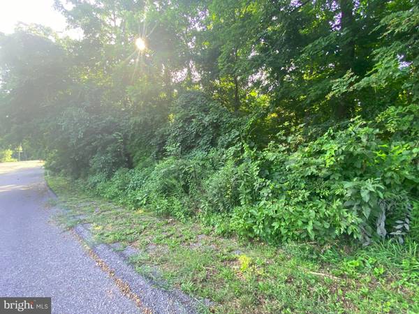 OFF MILL RIDGE ROAD LOT 42, Everett, PA 15537