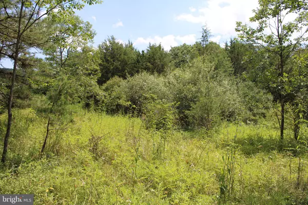 83.5 AC DUTCH HOLLOW LN,  Rio,  WV 26755