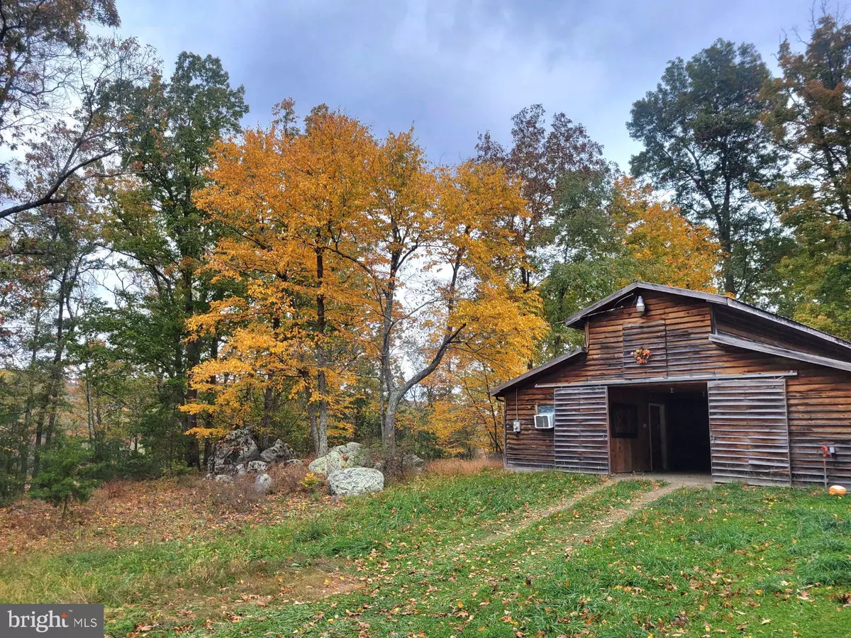 Capon Bridge, WV 26711,1855 DILLONS RUN RD