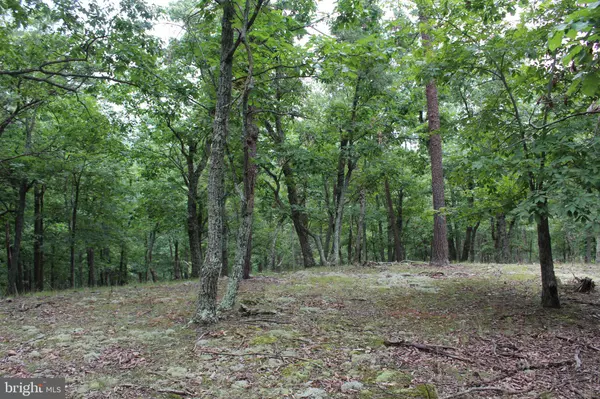 Burlington, WV 26710,LOT 33 WHITETAIL RIDGE