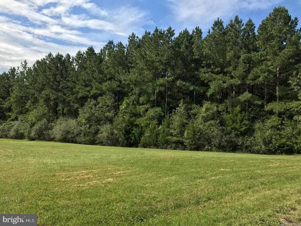 Lignum, VA 22726,LOT 25 RAPIDAN FARMS CT