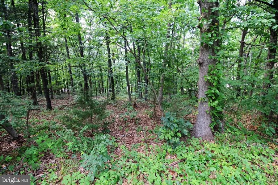 0 SUPINLICK RIDGE RD, Basye, VA 22810