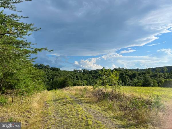 UPLAND TRL #LOT 4 & 5, Berkeley Springs, WV 25411