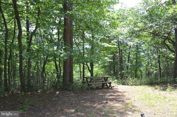 LOT 46, LOWER FLATS DR, Yellow Spring, WV 26865