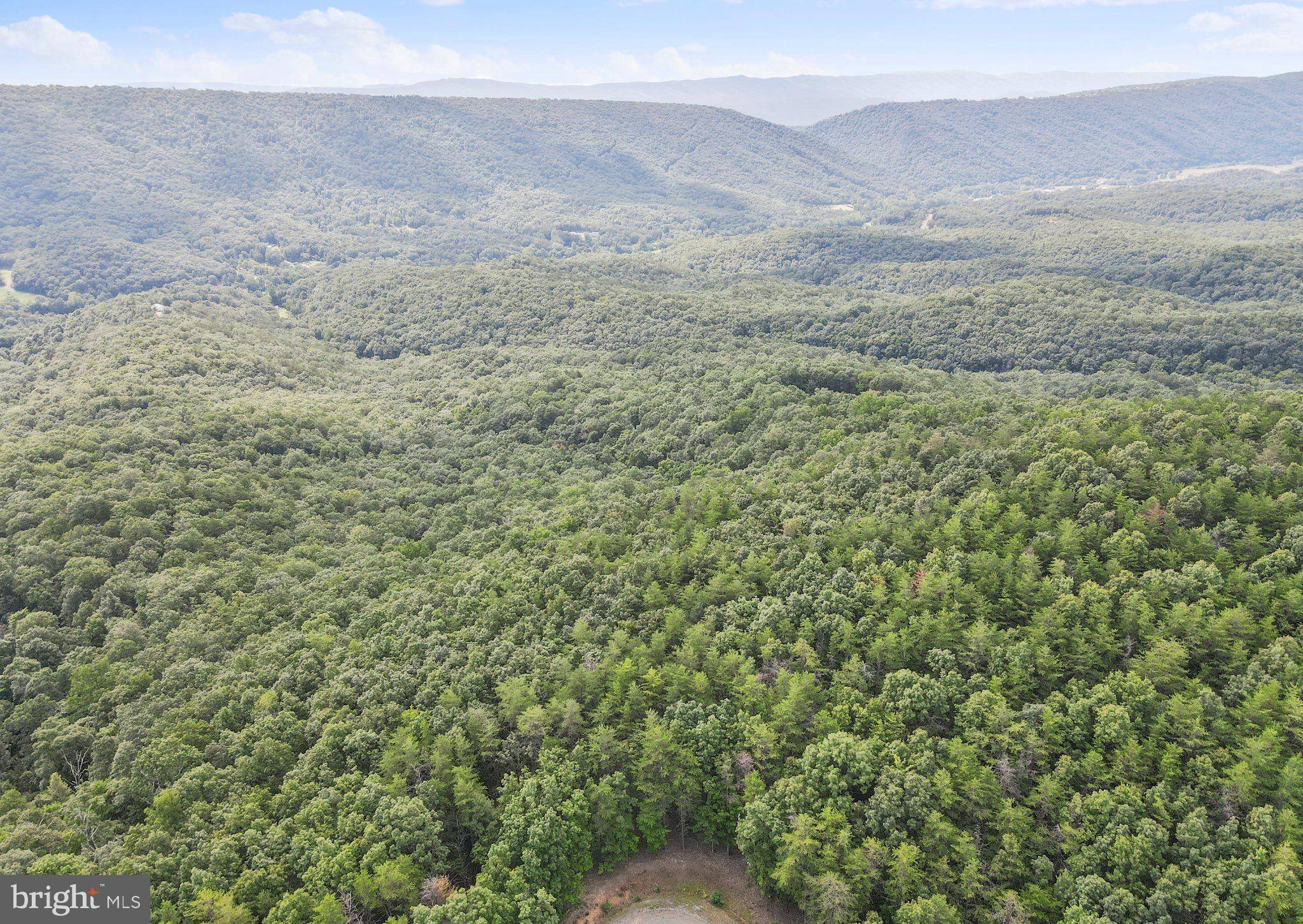 Romney, WV 26757,LOT #256 SILVER FOX LANE