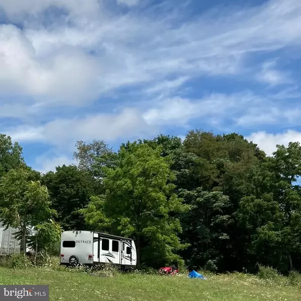 0 CONOCOCHEAGUE DR #LOT 1, Doylesburg, PA 17219