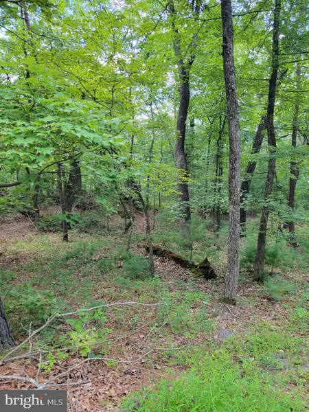 LOT 7 TURKEY KNOB ROAD, Capon Bridge, WV 26711