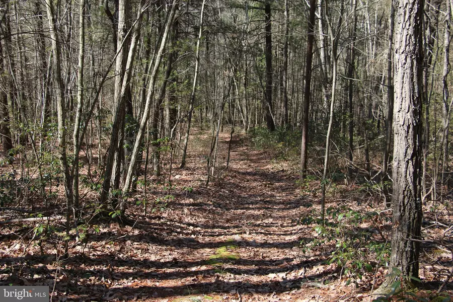 DRY RUN RD, Luray, VA 22835