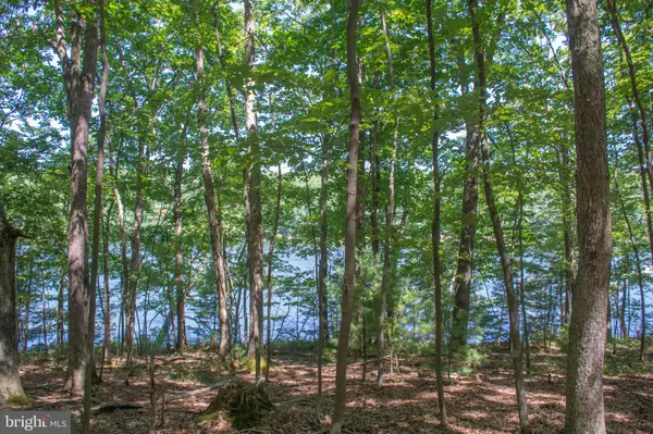 Swanton, MD 21561,LOT 20 SMITH POINTE RD