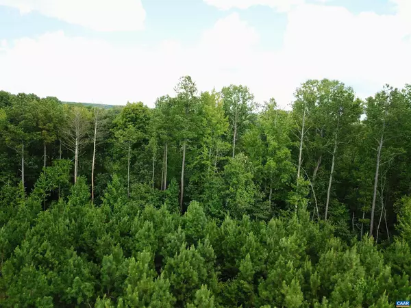 New Canton, VA 23123,TBA LOT 1 SPORTS LAKE RD #LOT 1