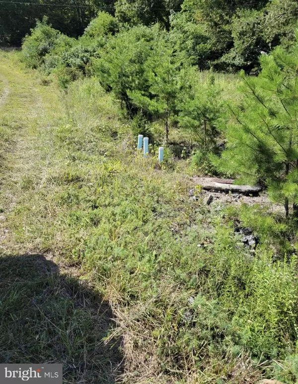 Capon Bridge, WV 26711,NORTHWESTERN PIKE