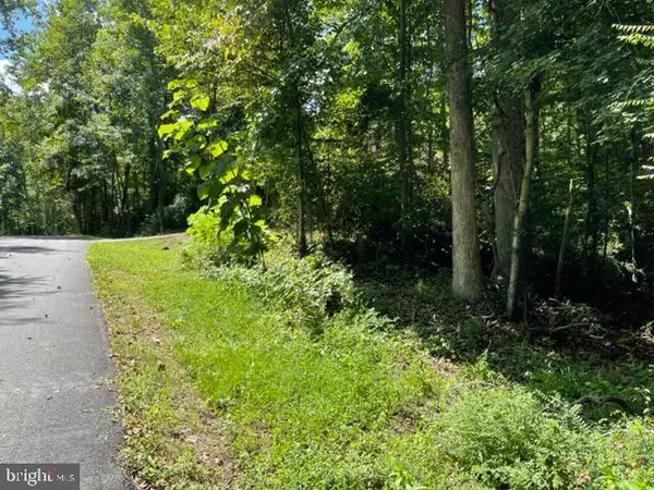 LOT 46 MCKINLEY DRIVE, King George, VA 22485