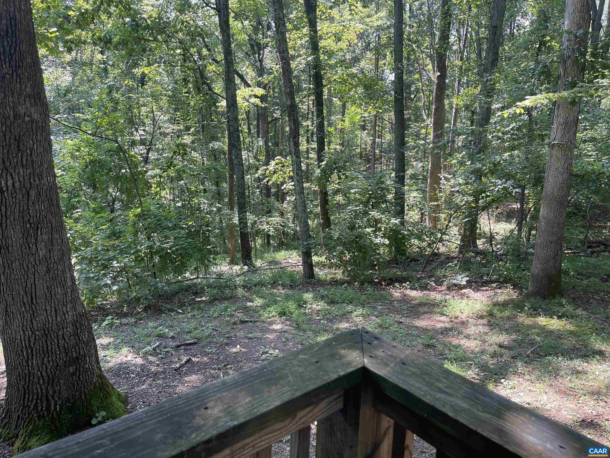 Charlottesville, VA 22903,1949 SWEET HOLLOW LN