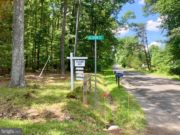 Nokesville, VA 20181,LOT 3 RINGWOOD RD