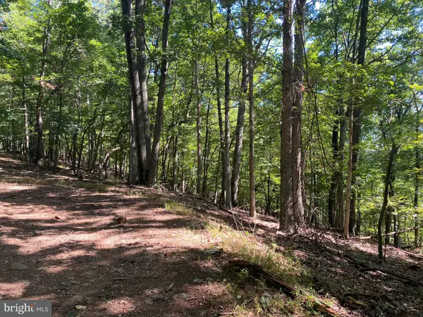 Slanesville, WV 25444,LOT 20 SEC 9 SECLUDED CT