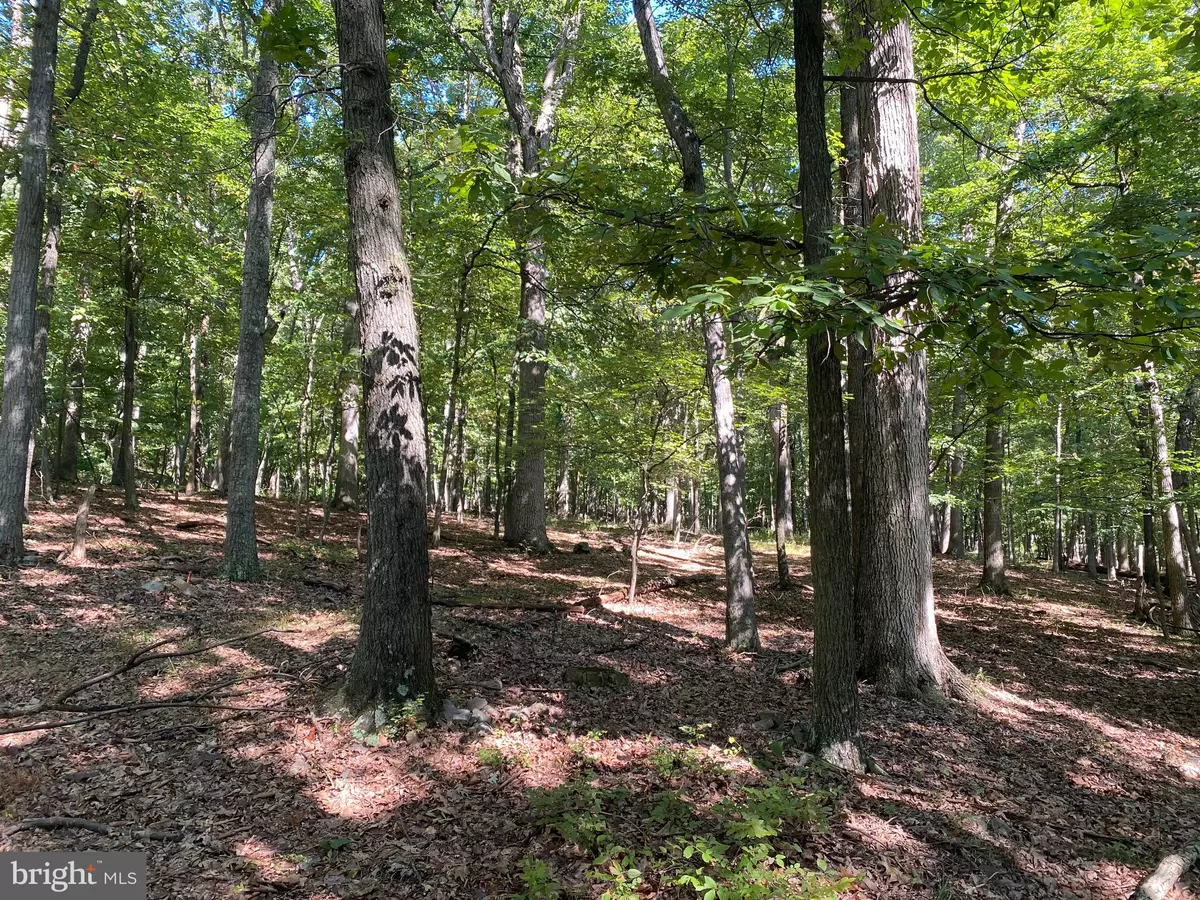 Slanesville, WV 25444,LOT 20 SEC 9 SECLUDED CT