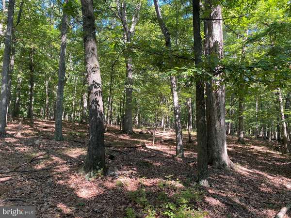 LOT 20 SEC 9 SECLUDED CT, Slanesville, WV 25444