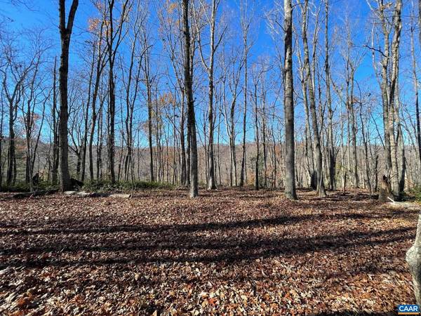 LOT 5 PINE TRL #5, Lovingston, VA 22949