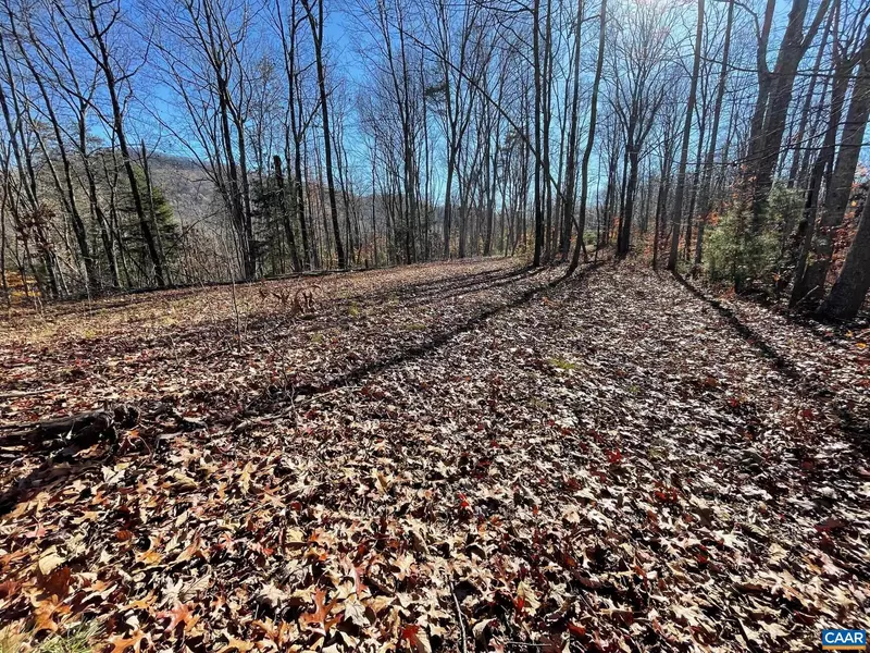 LOT 4 PINE TRL #4, Lovingston, VA 22949