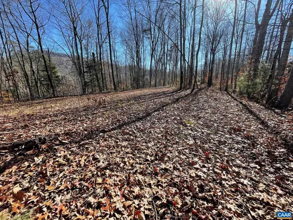 LOT 4 PINE TRL #4, Lovingston, VA 22949