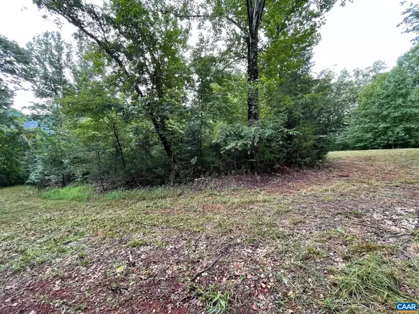 Lovingston, VA 22949,LOT 3 PINE TRL #3