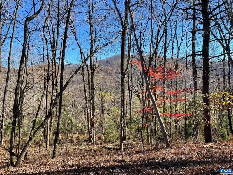 LOT 2 PINE TRL #2, Lovingston, VA 22949