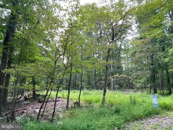 LOT 24 RACCOON DR, Winchester, VA 22602