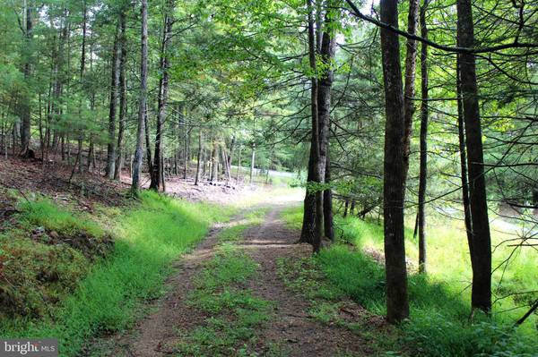 13.16 ACRES WATERLINE DR, Upper Tract, WV 26866