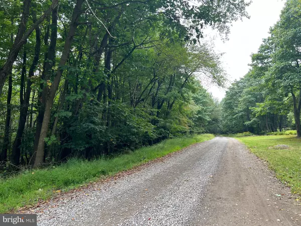 LOT 164 SHAWNEE VIEW ROAD, Central City, PA 15926