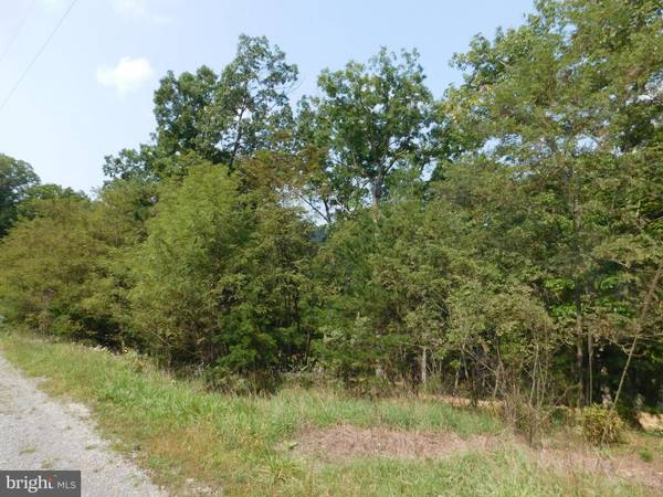 LOT 16 QUIVEYS GROVE TRAIL, Augusta, WV 26704