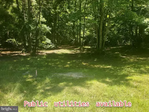 LOT #3 FOREST GROVE RD, Montross, VA 22520