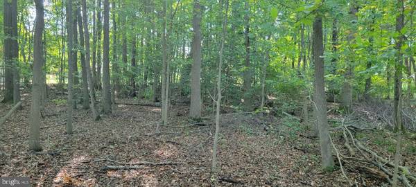 Accokeek, MD 20607,BEECH LN #PARCEL 27