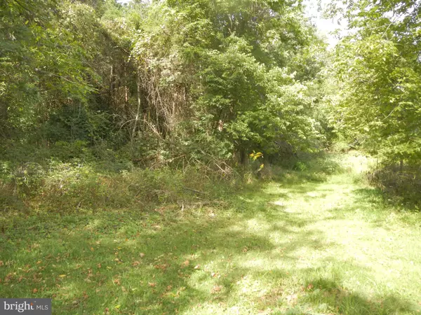 Maurertown, VA 22644,JADWYN RD