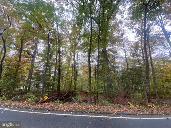 Bryans Road, MD 20616,LOT 5 INDIAN HEAD HWY