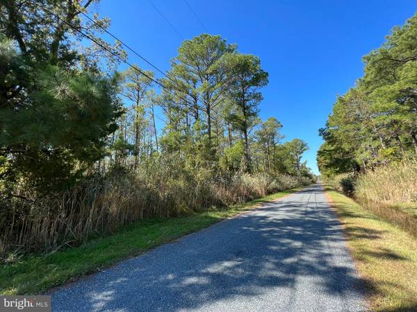 PARCEL 10 CALVARY RD, Crisfield, MD 21817