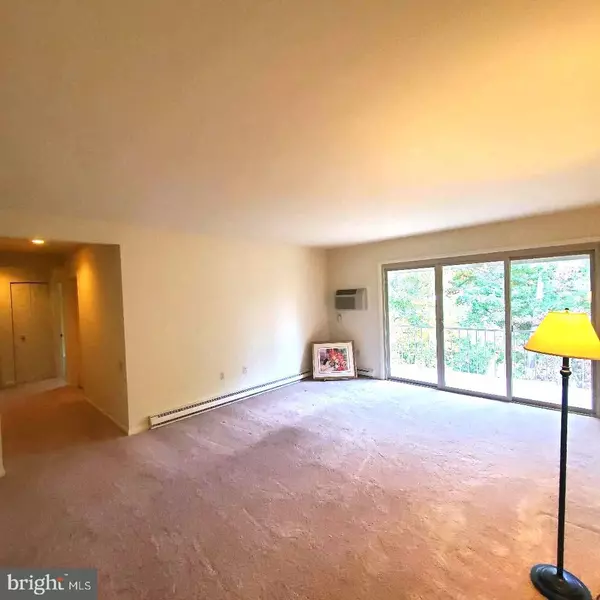 Silver Spring, MD 20906,3312 CHISWICK CT ##62-3B