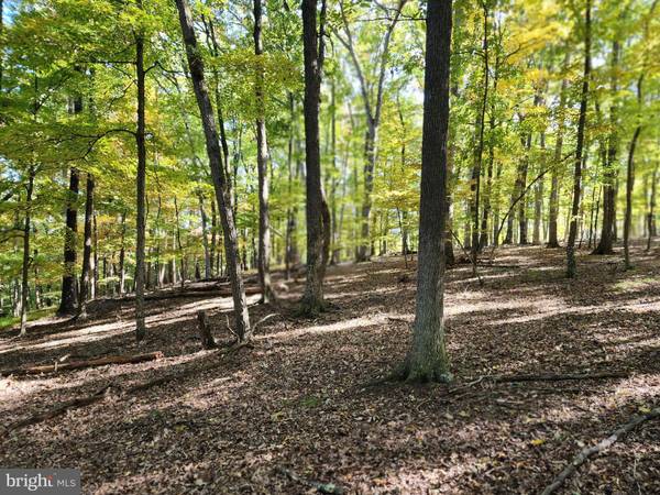 GROUSE LANE LN #LOT # 30, Berkeley Springs, WV 25411